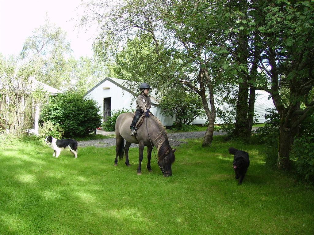 Arbakki Farmhouse Lodge เรย์คอลท์ ภายนอก รูปภาพ